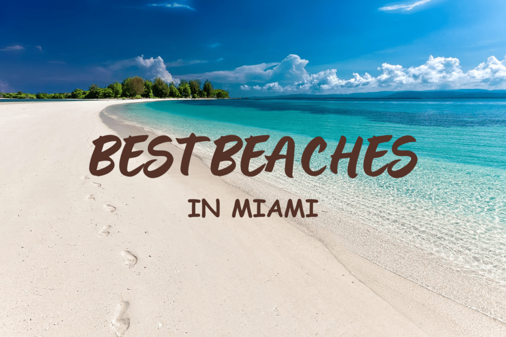 Best Beaches In Miami